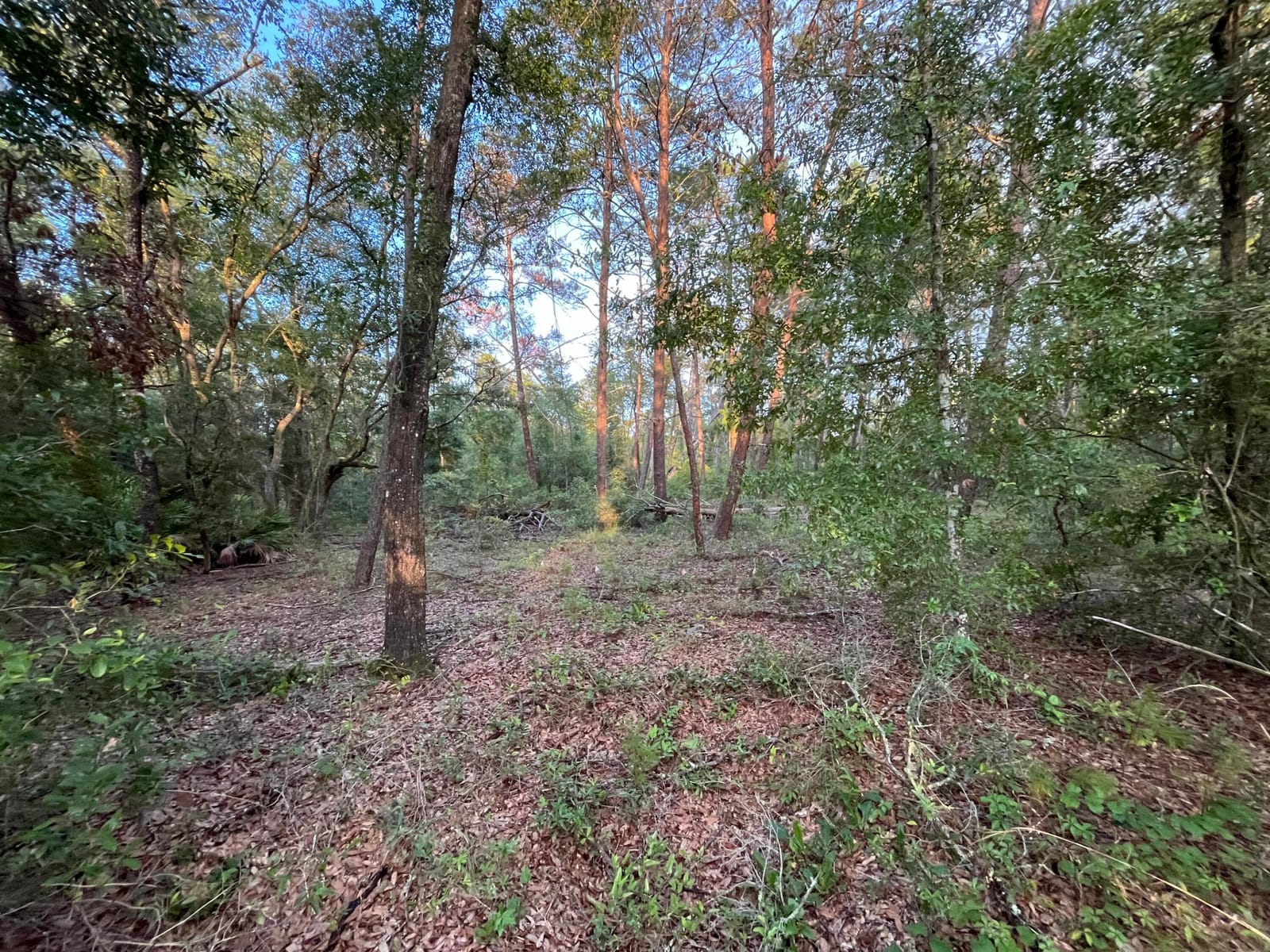 Tbd Twin Lakes Road — photo 3