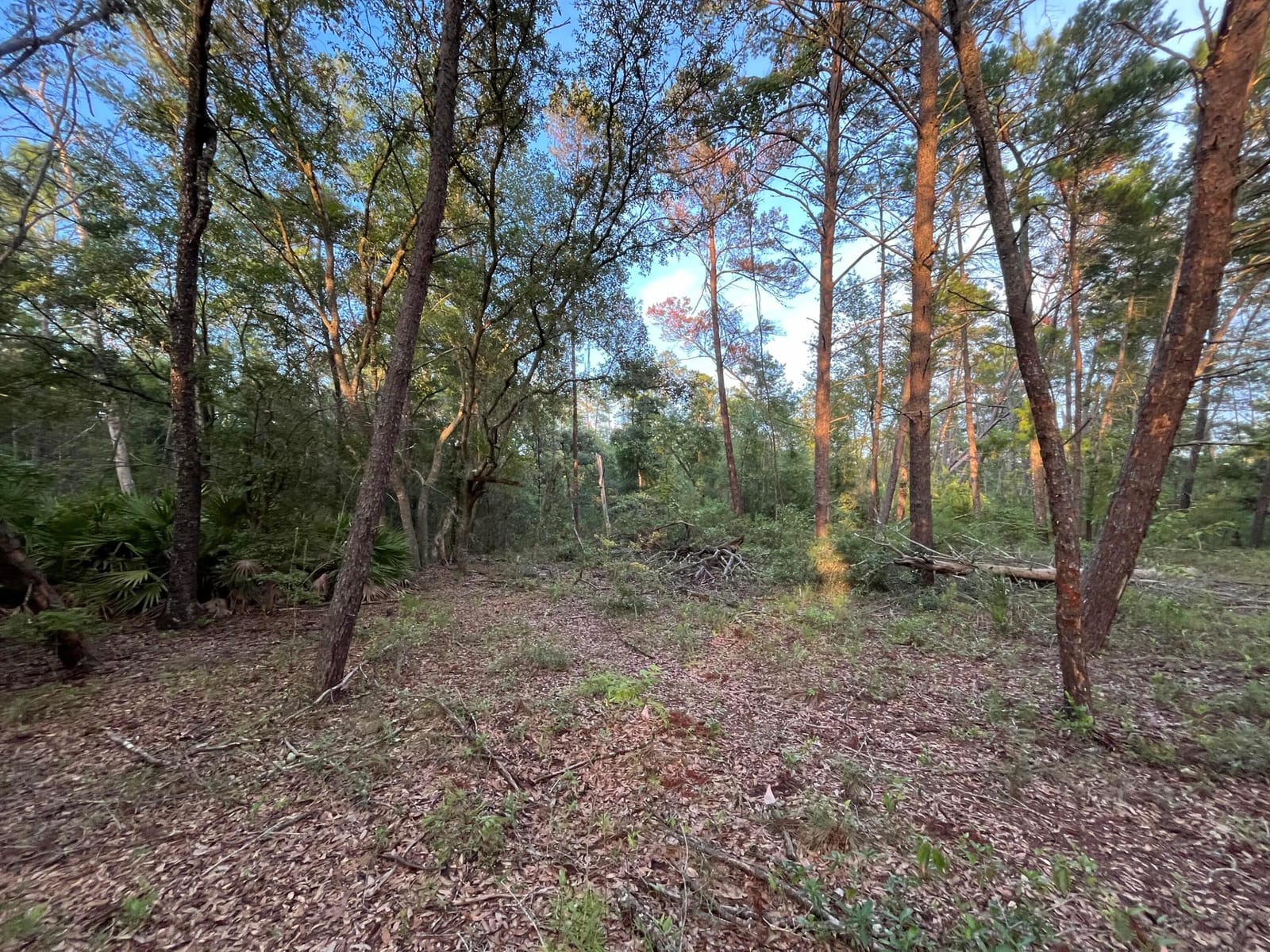 Tbd Twin Lakes Road — photo 4