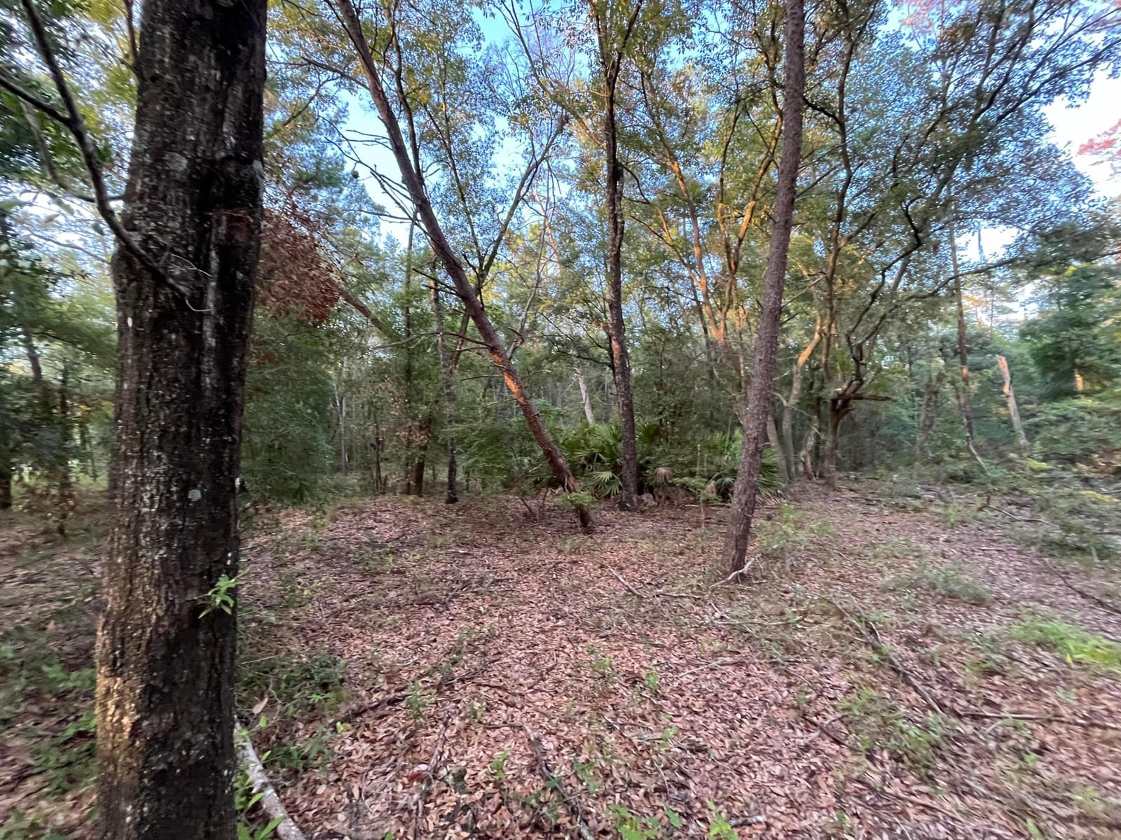 Tbd Twin Lakes Road — photo 5