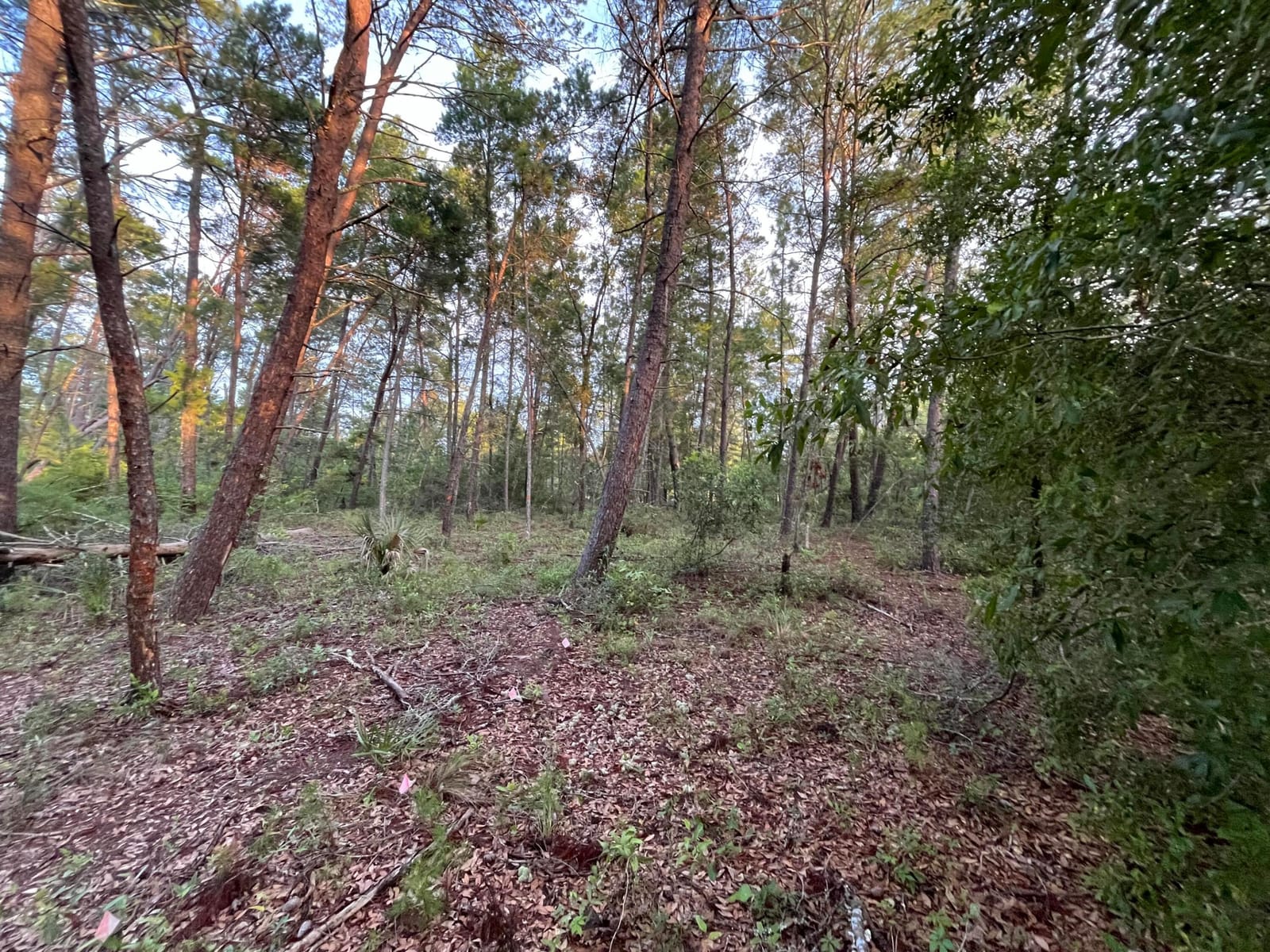 Tbd Twin Lakes Road — photo 6