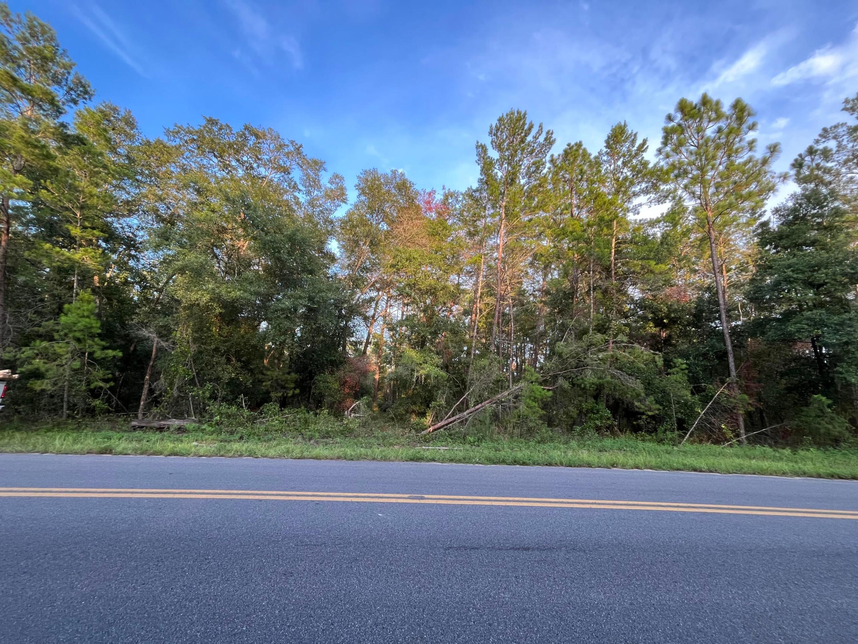 Tbd Twin Lakes Road, Interlachen, FL 32148, Interlachen