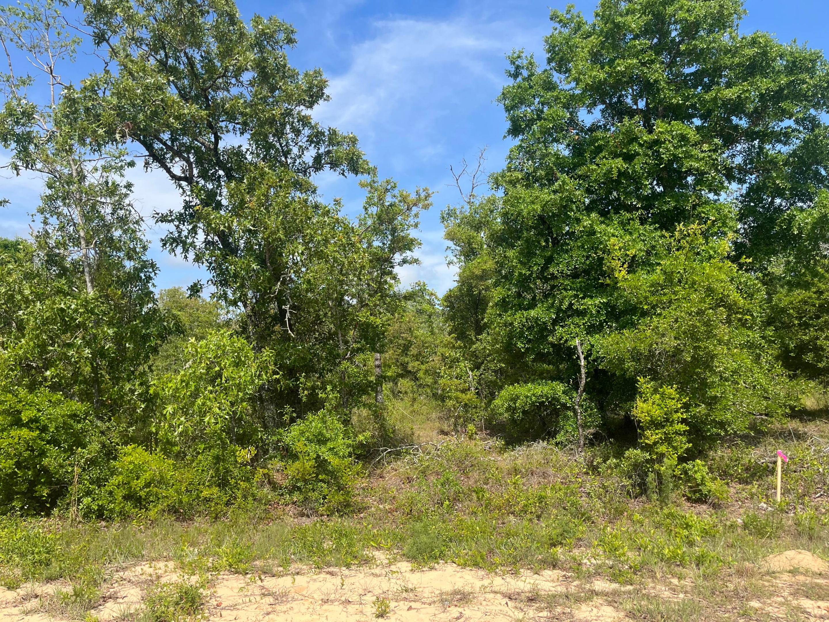 Tbd Rome Avenue, Alford, FL 32420, Alford
