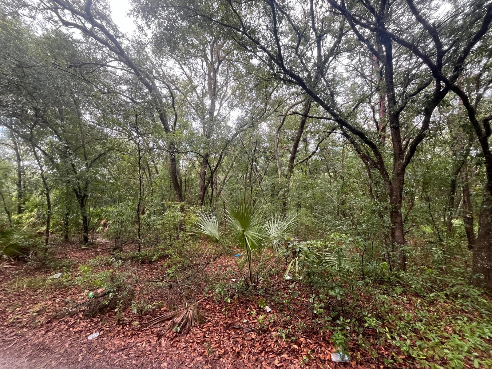 Tbd Delaware Avenue, Interlachen, FL 32148 photo 5