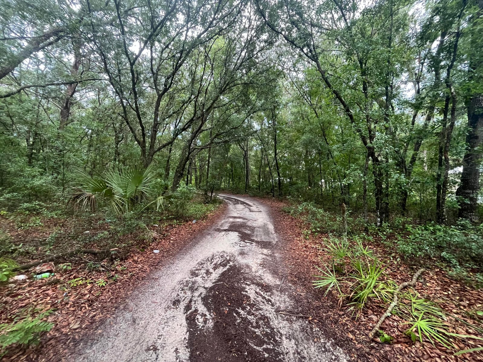 Tbd Delaware Avenue, Interlachen, FL 32148 photo 6
