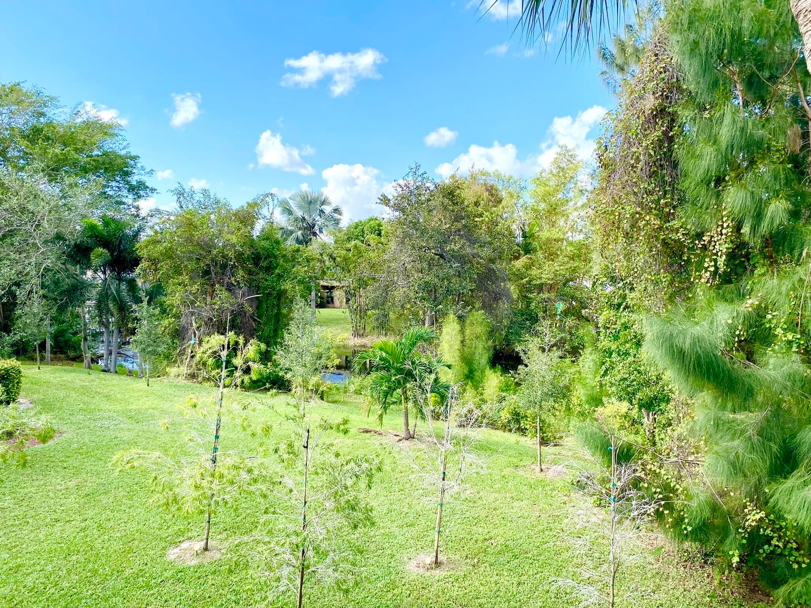 815 W Boynton Beach Boulevard 16-201, Boynton Beach, FL 33426 photo 29