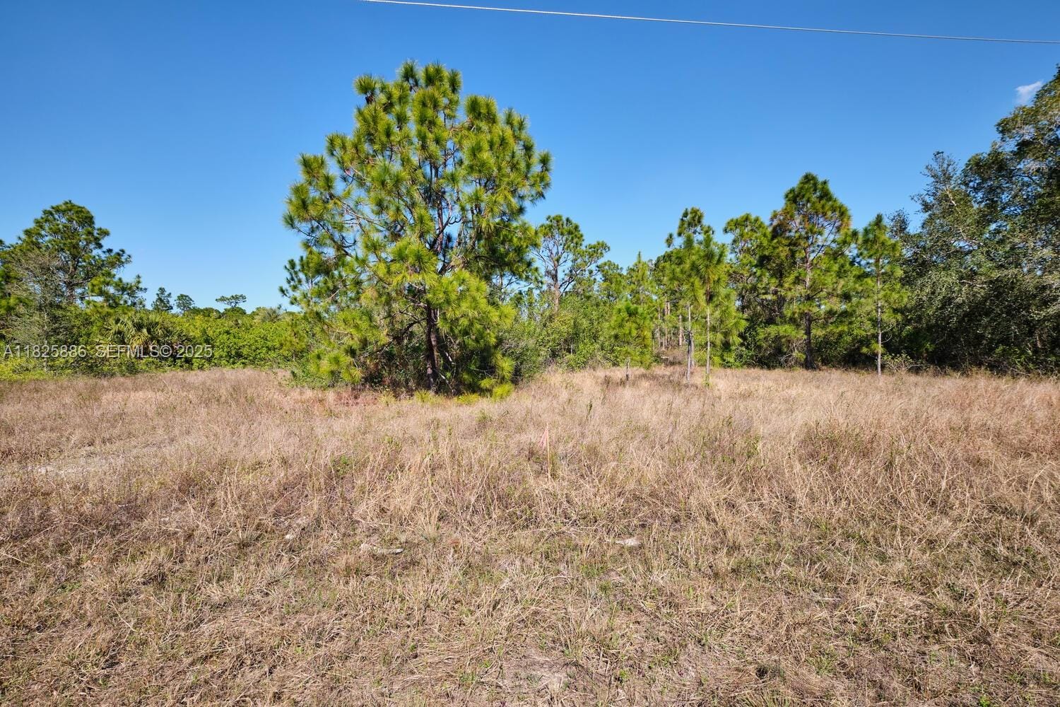 1025 E Winters Street, Lehigh Acres, FL 33974 photo 18