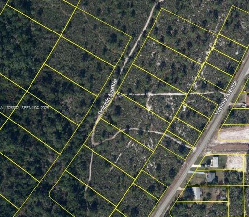 719 Dolphin Avenue, Lake Placid, FL 33852