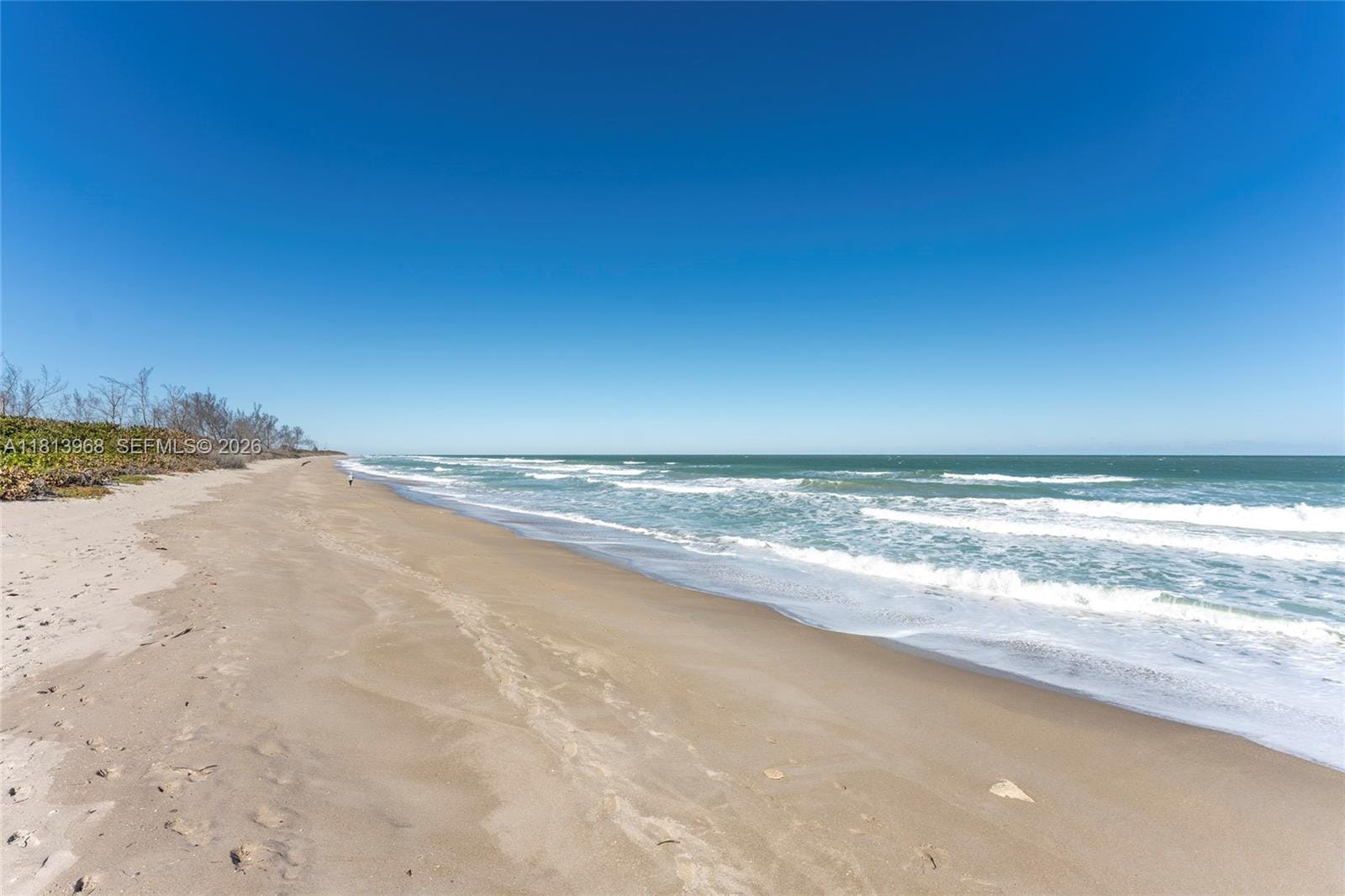 7370 S Ocean Drive 815B — photo 8