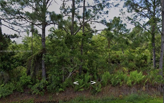 1008 NW Concorde Parkway, Lake Placid, FL 33852