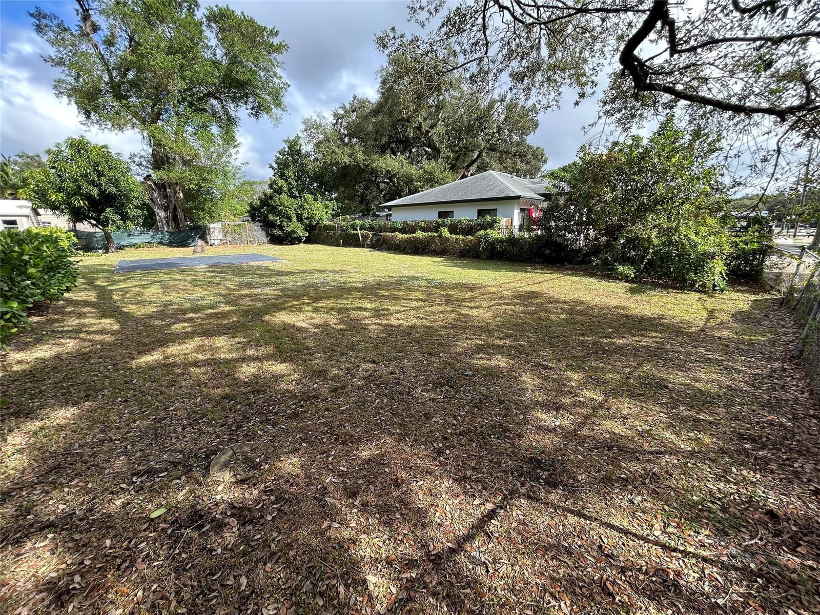 168 Terrace — photo 11
