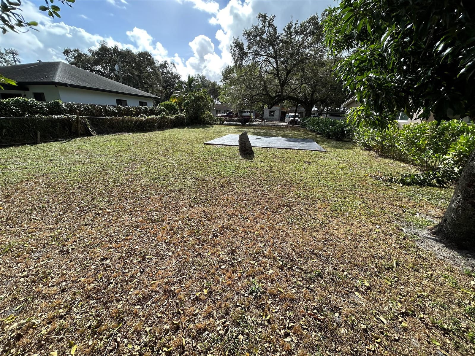 168 Terrace — photo 5