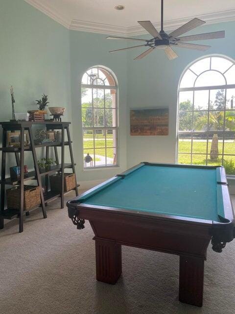 17183 80th Street N, The Acreage, FL 33470 photo 19