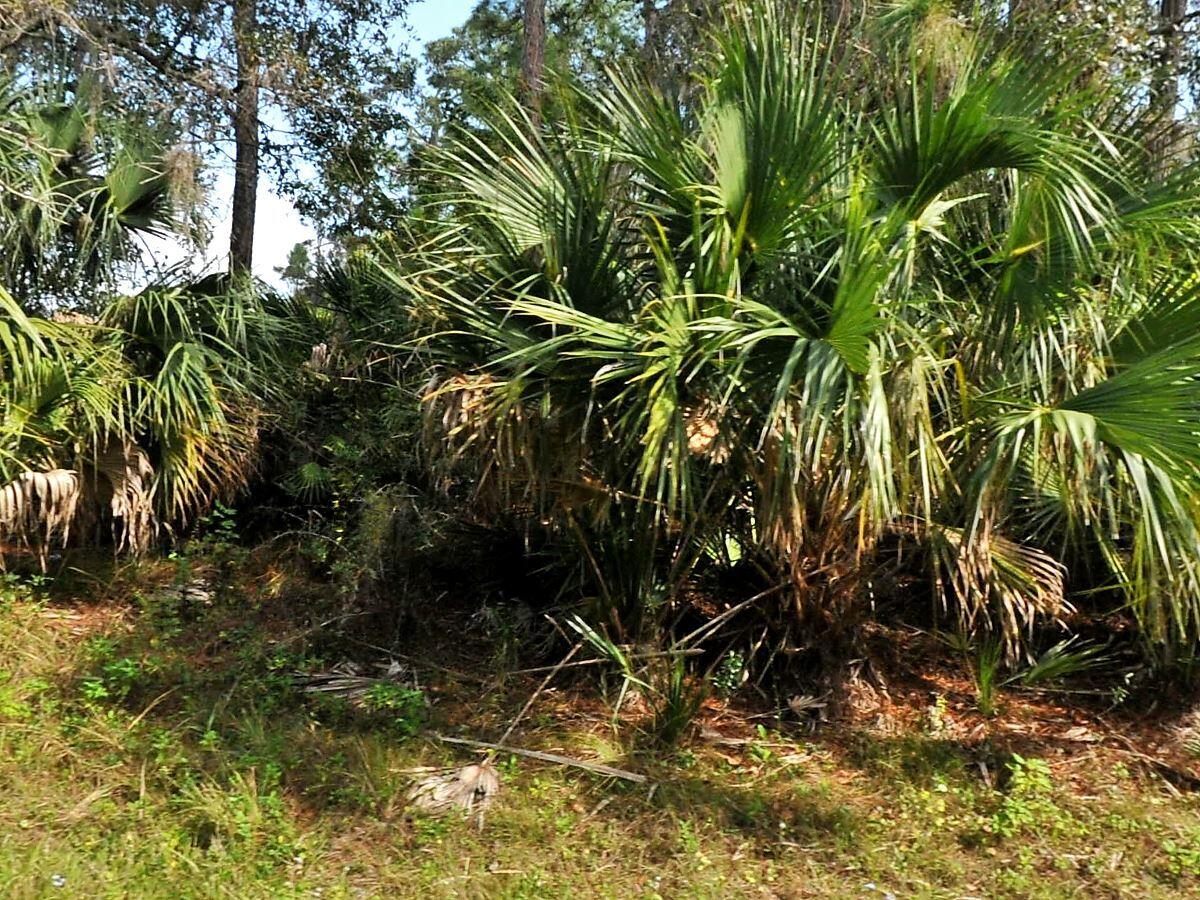 Tbd Abbington Street, North Port, FL 34286, North Port