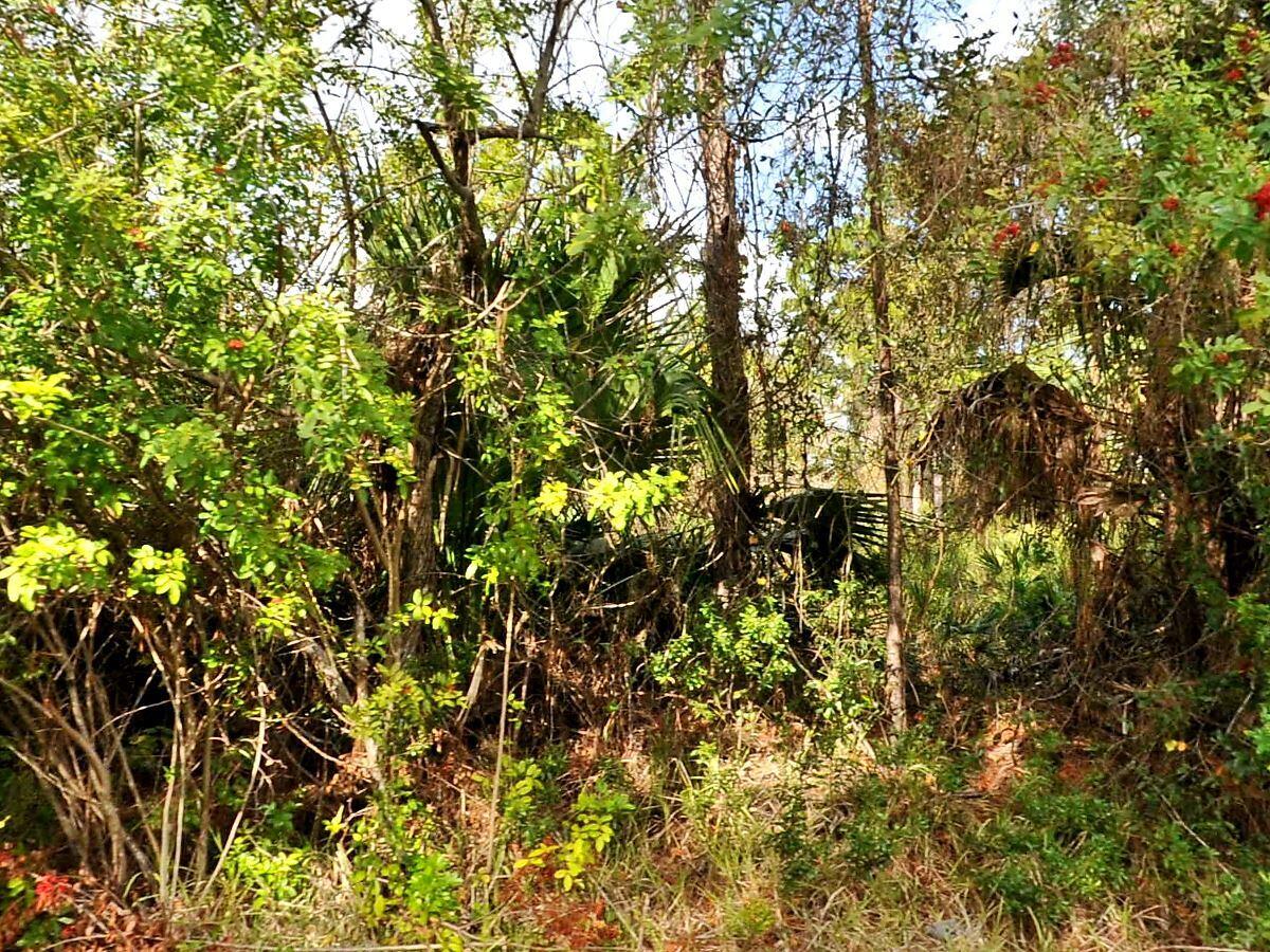 0 Haffenberg Ave Avenue, North Port, FL 34288, North Port
