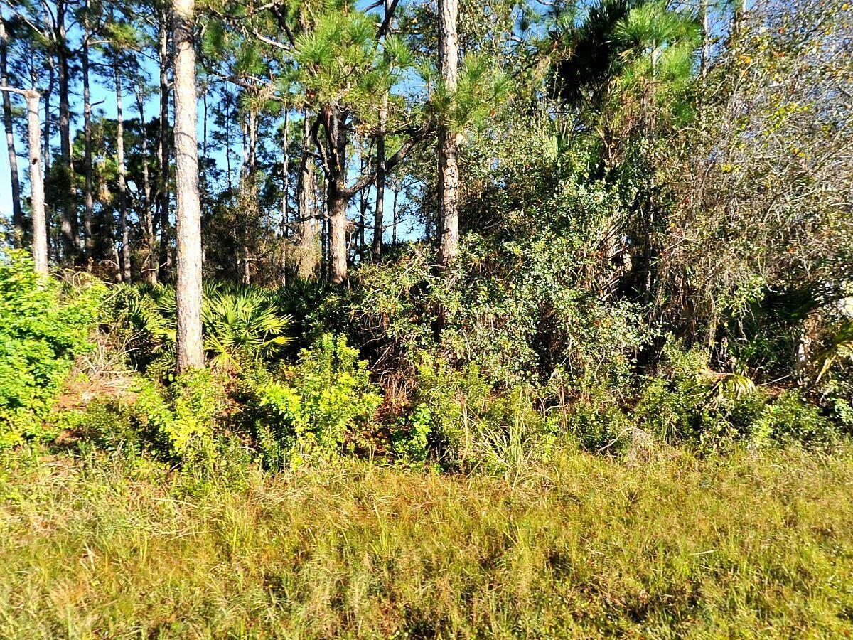 0 Rosa Avenue, North Port, FL 34286, North Port