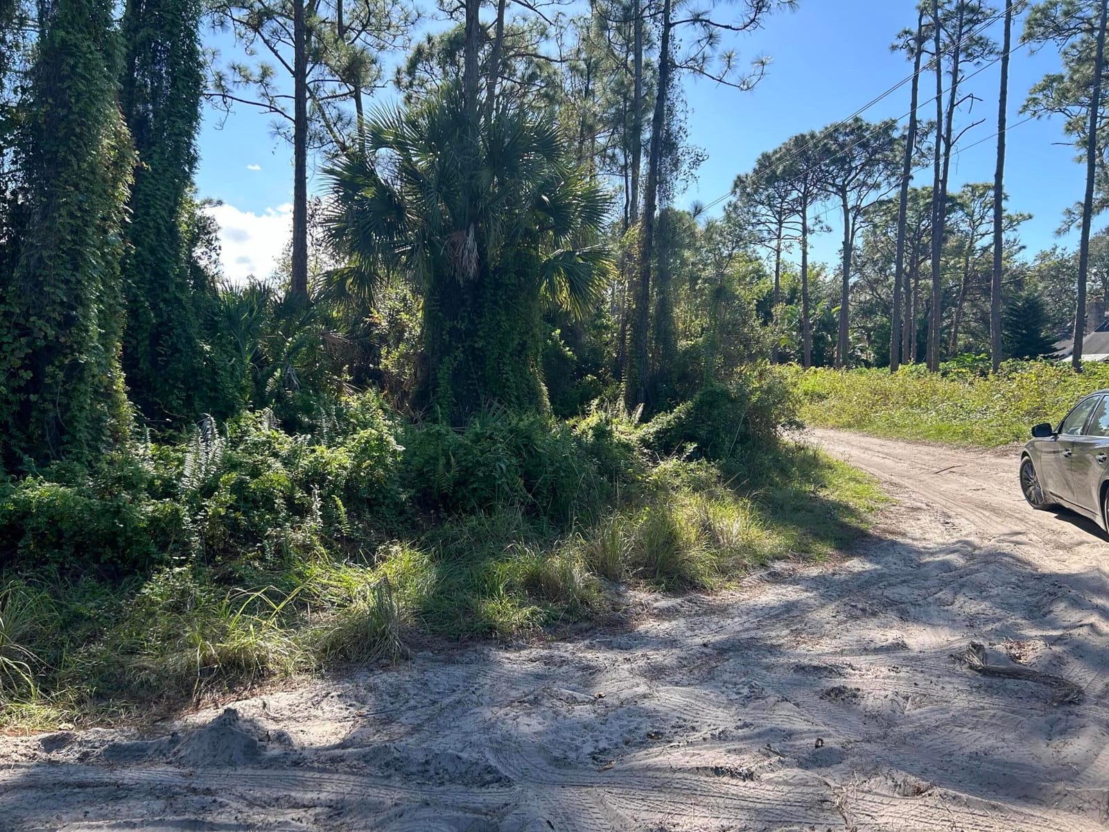 0 Slash Pine Trail — photo 4