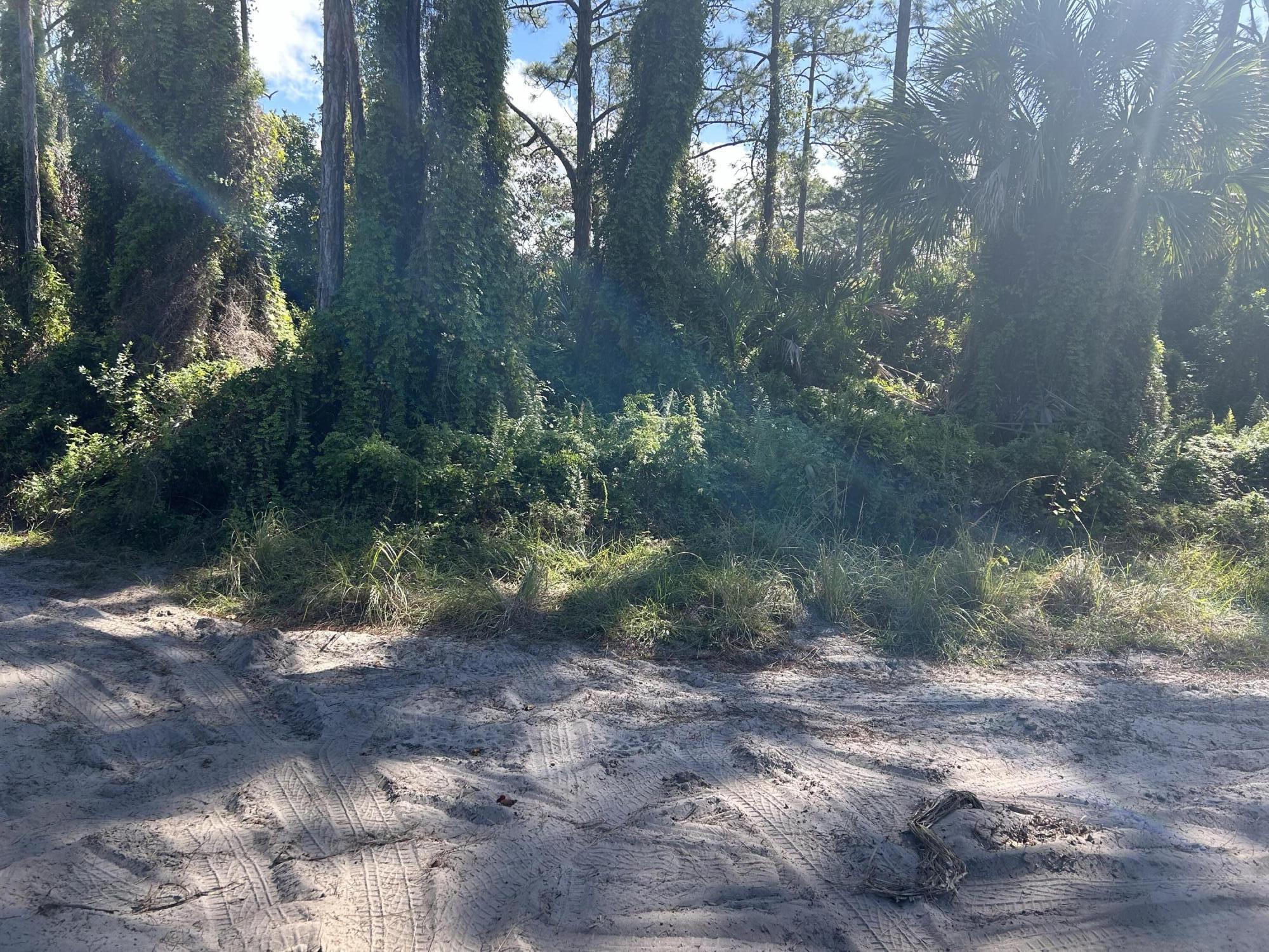 0 Slash Pine Trail, Fort Pierce, FL 34945, Fort Pierce