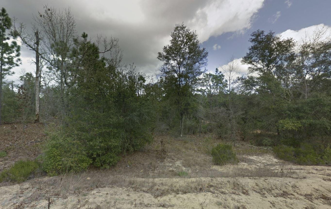187 Paris Street, Interlachen, FL 32148 photo 2