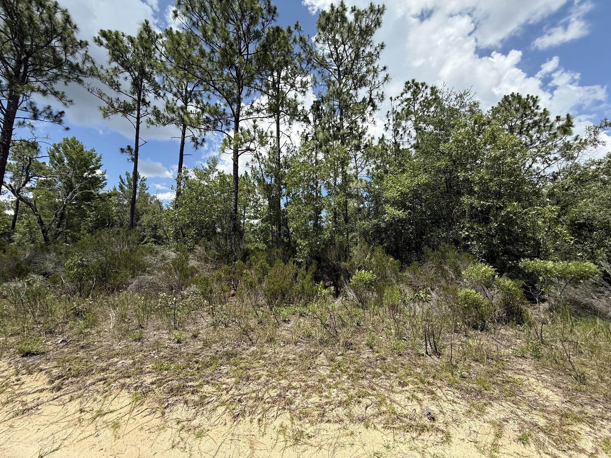187 Paris Street, Interlachen, FL 32148, Interlachen