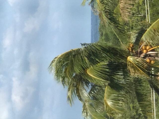 275 Palm Avenue C503, Jupiter, FL 33477, Jupiter