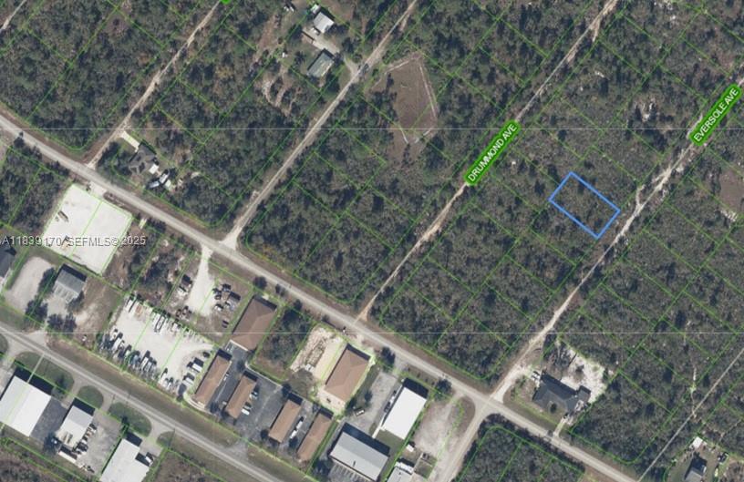 120 Eversole Avenue, Lake Placid, FL, Lake Placid