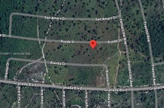 7811 Ronda Street, Sebring, FL 33872, Sebring