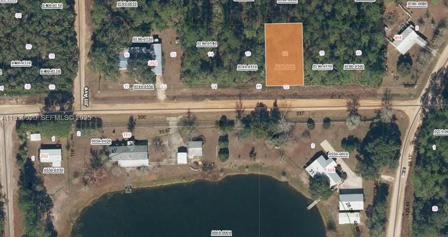 0 Canine Street, FL 32148 photo 2