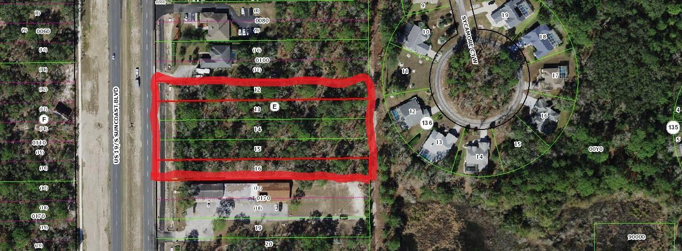 8863 S Suncoast Boulevard, Homosassa, FL 34446, Homosassa