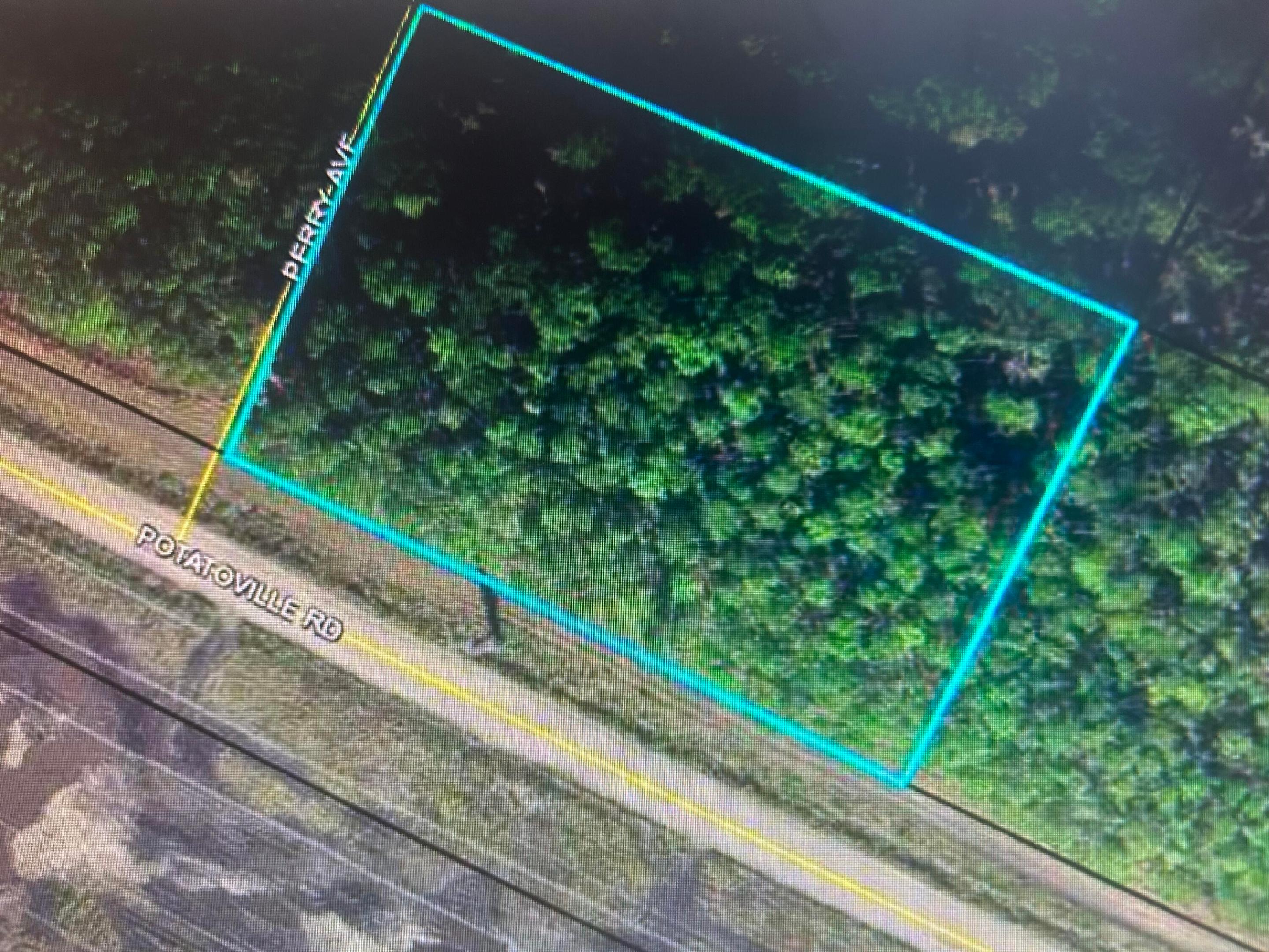 579 Perry Ave, Bunnell, FL 32110, Bunnell
