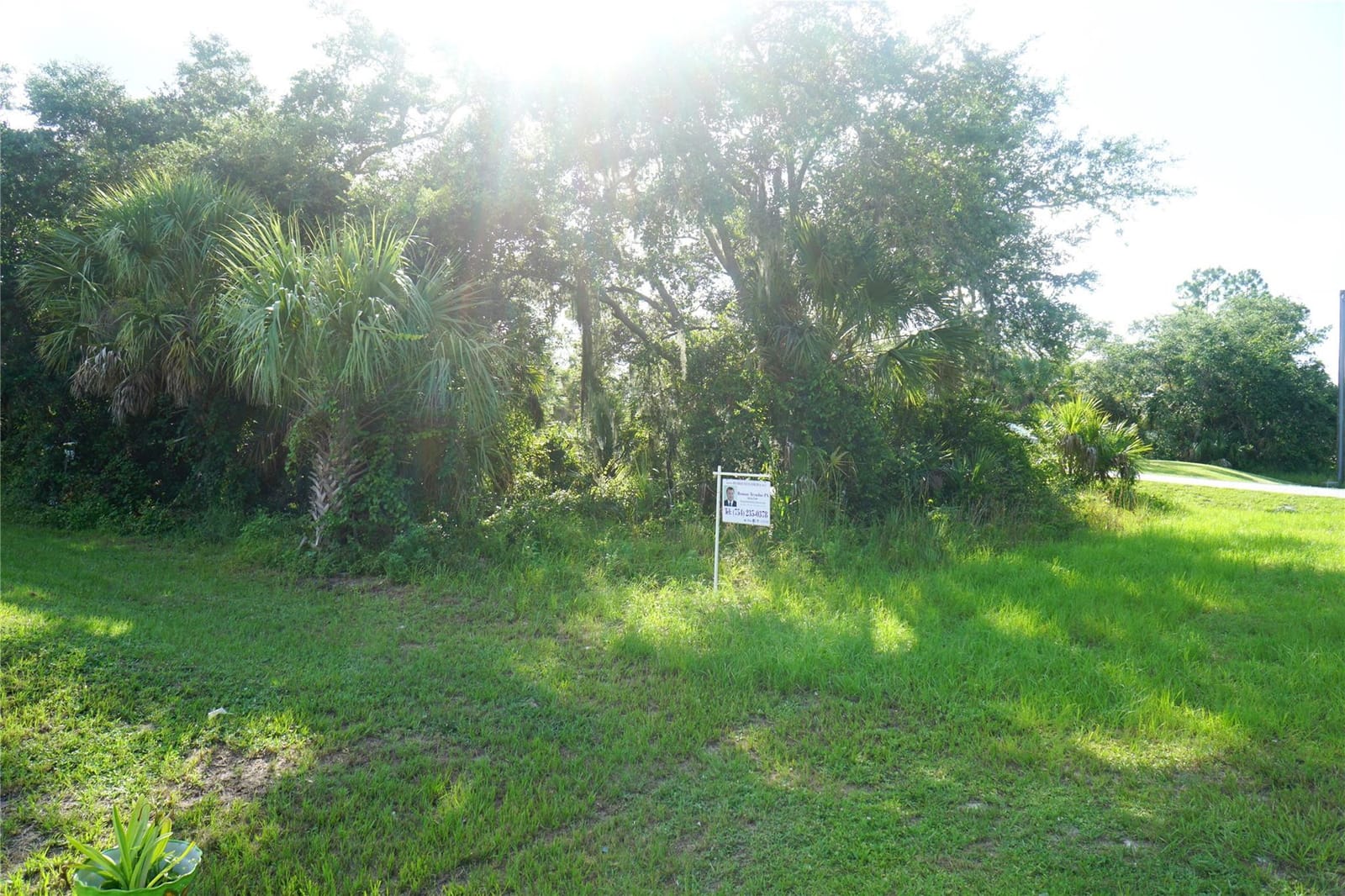 4253 Goldfair Lane — photo 4