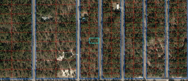 00 SE 131st Avenue, Rainbow Lakes Estates Sec N, Dunnellon, FL