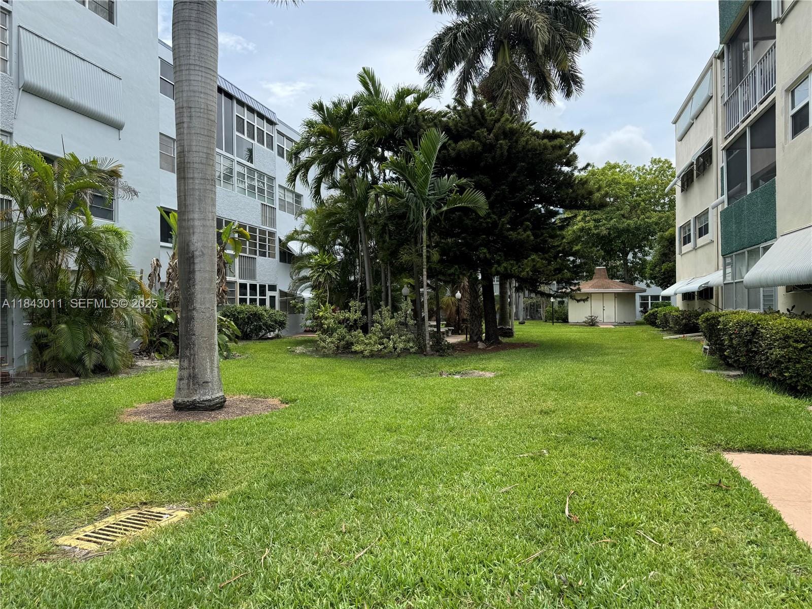 1333 E Hallandale Beach Boulevard 444, Hallandale Beach, FL 33009 photo 17