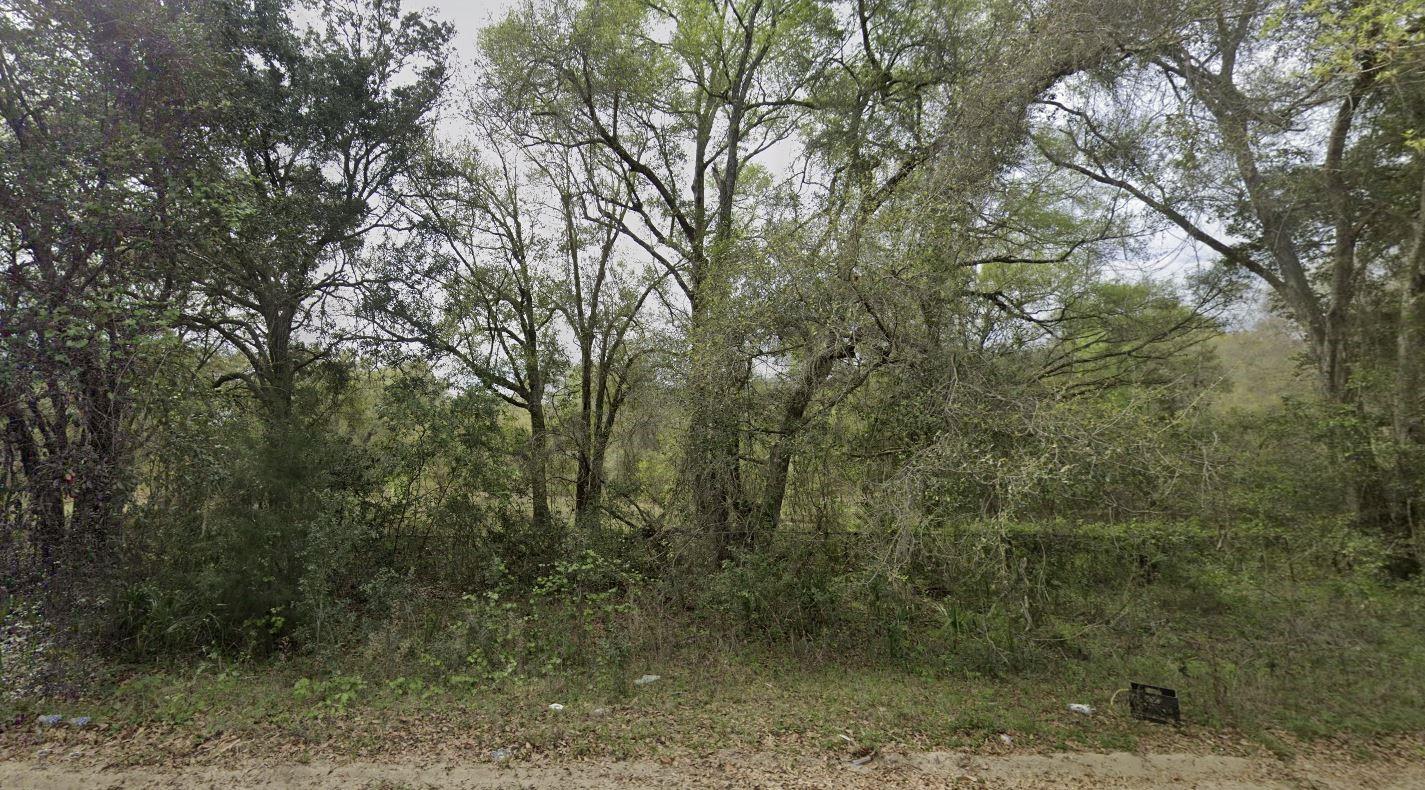 305 Milton Avenue, Interlachen, FL 32148, Interlachen
