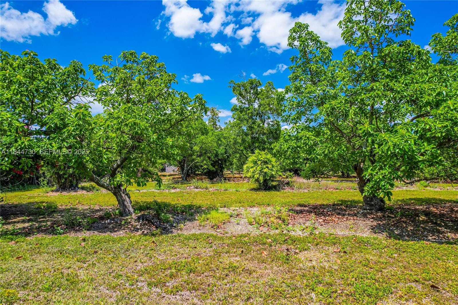 254xx SW 217ave, Homestead, FL 33031 photo 14