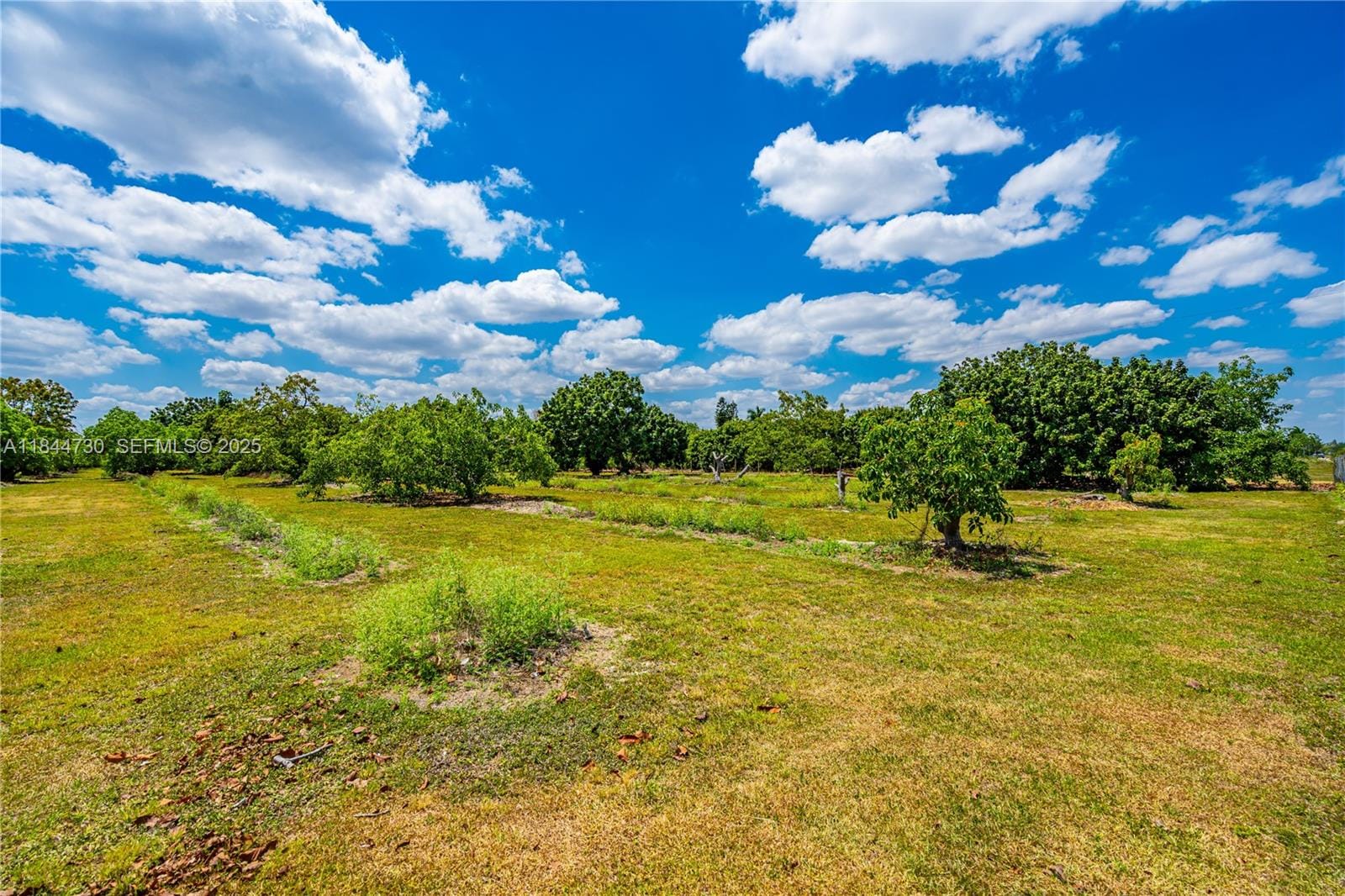 254xx SW 217ave, Homestead, FL 33031 photo 15