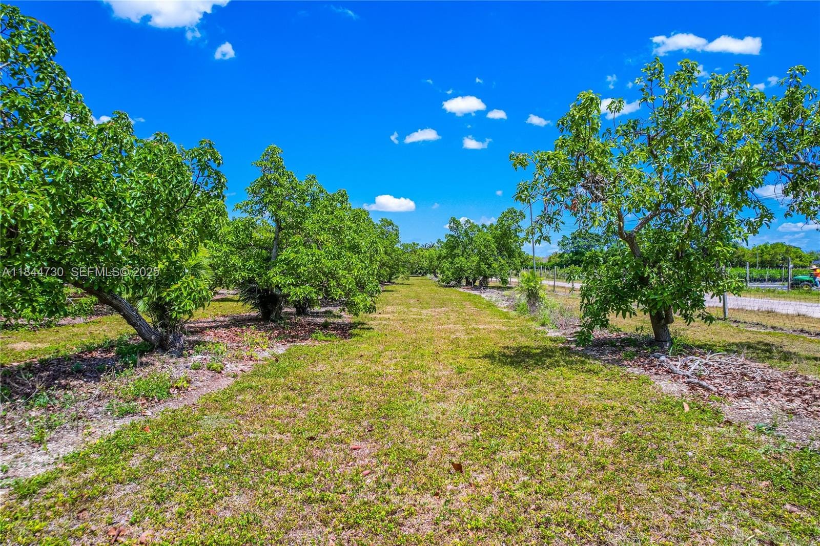254xx SW 217ave, Homestead, FL 33031 photo 16