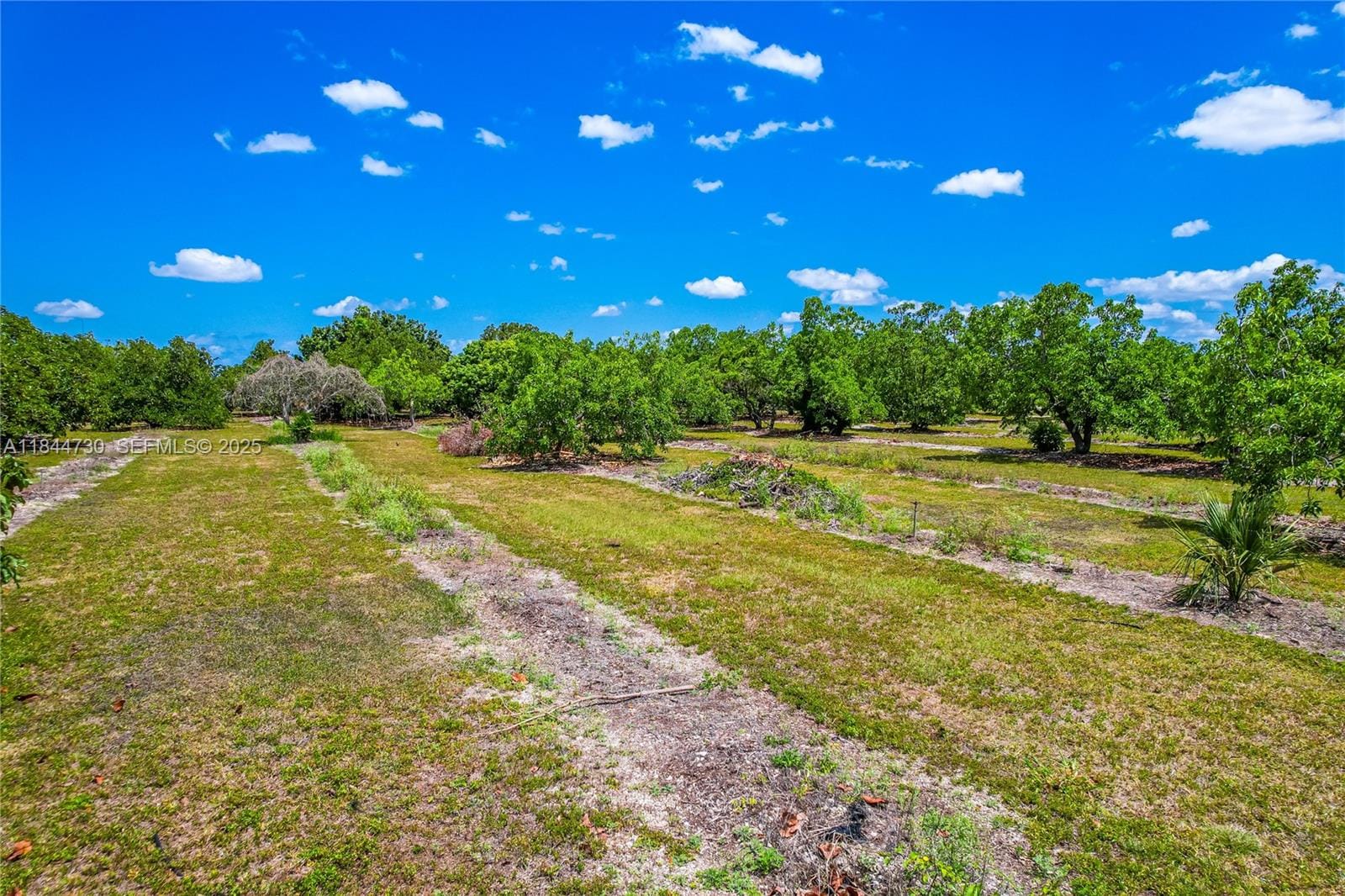 254xx SW 217ave, Homestead, FL 33031 photo 17