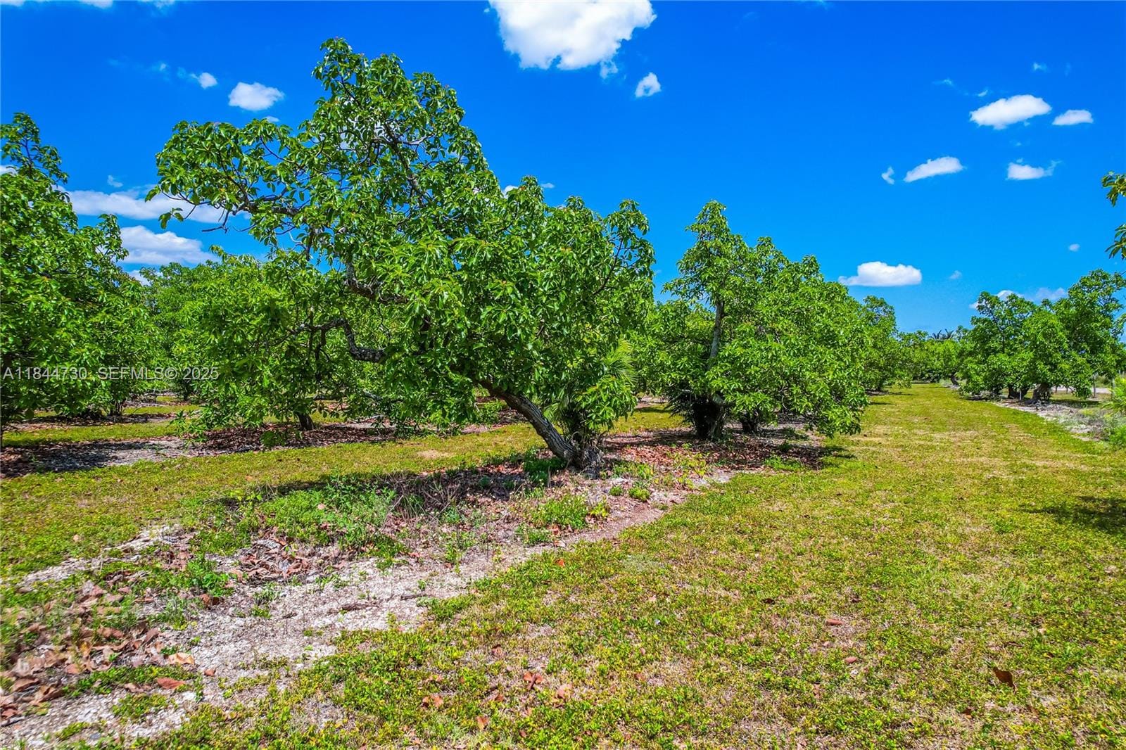 254xx SW 217ave, Homestead, FL 33031 photo 18