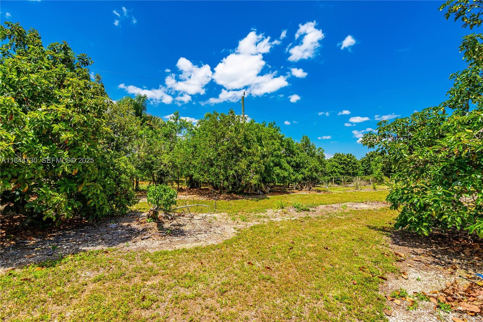 254xx SW 217ave, Homestead, FL 33031 photo 19