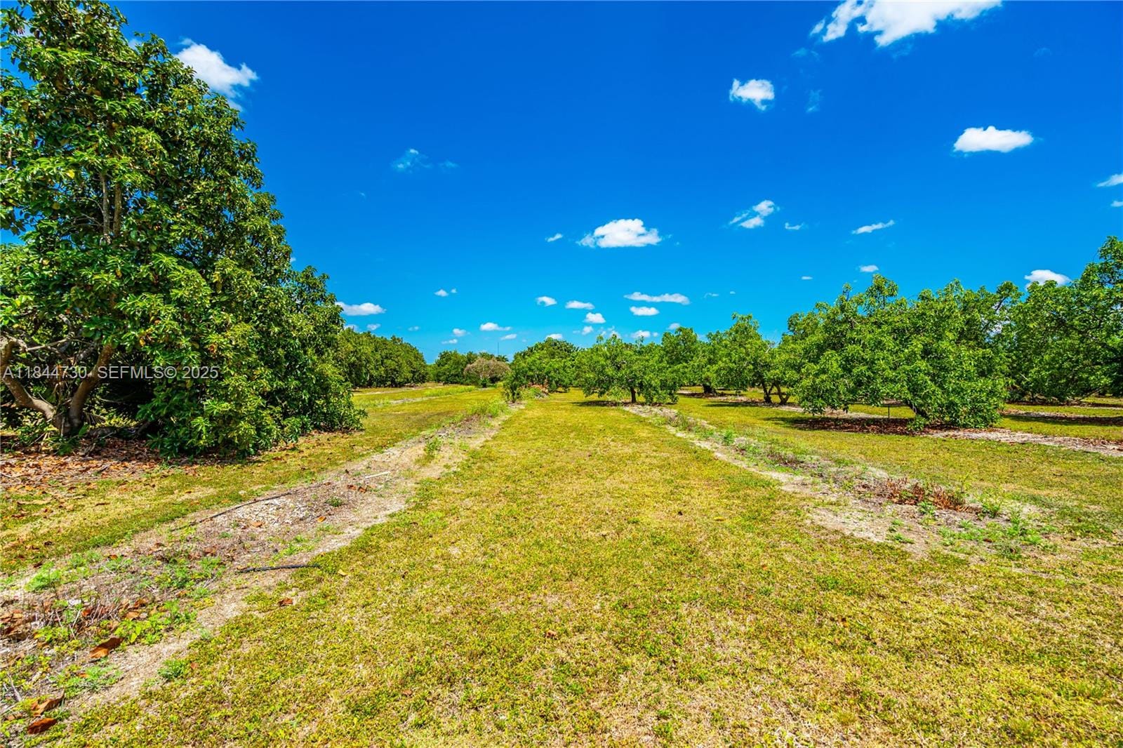 254xx SW 217ave, Homestead, FL 33031 photo 20