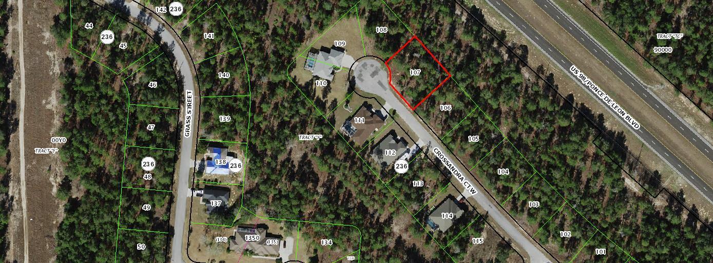 11 Crossandra Court W, Homosassa, FL 34446, Homosassa