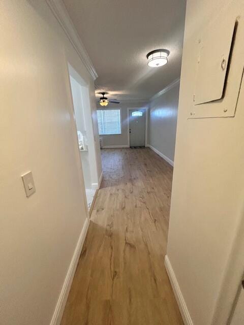 336 Northampton Q — photo 11