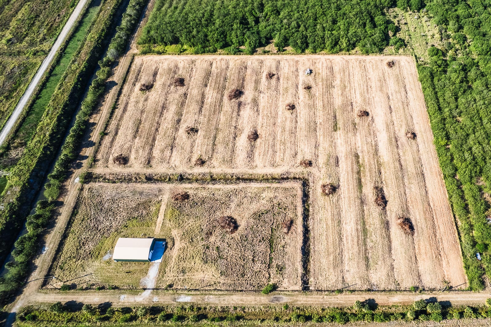 15350 111th Street, Fellsmere, FL 32948 photo 11