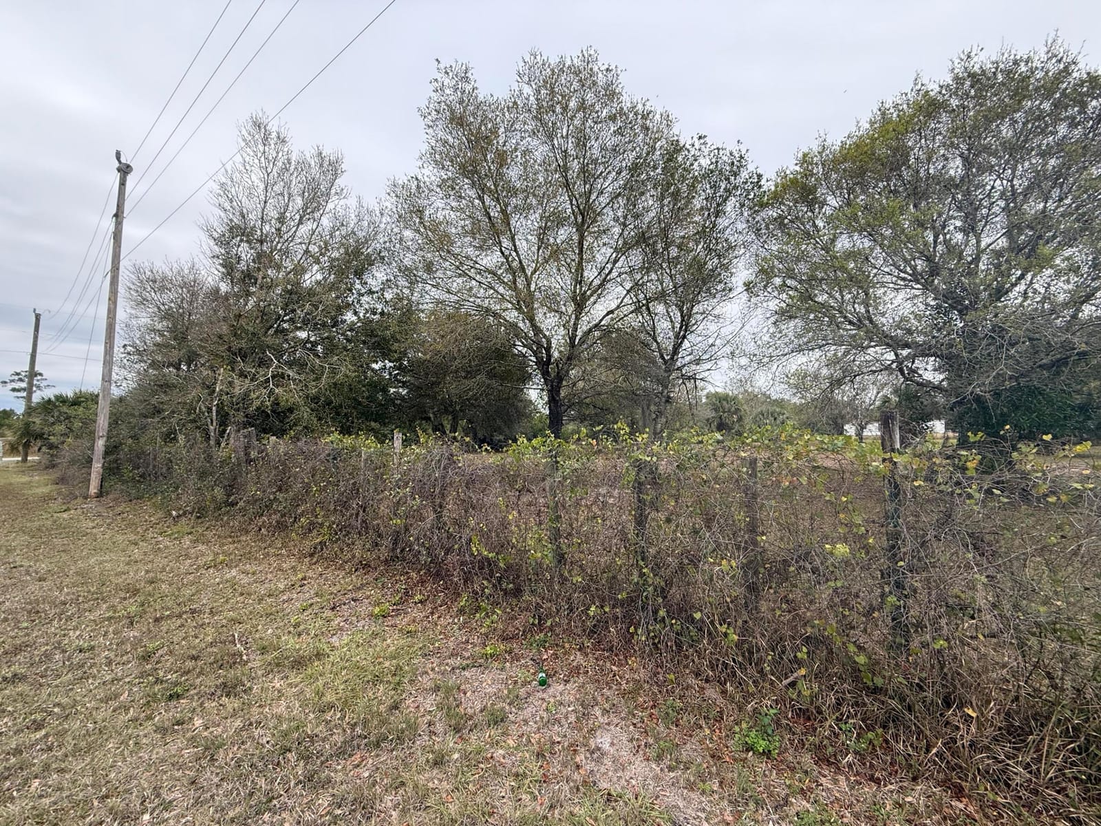 754 Hunting Club Avenue, Clewiston, FL 33440 photo 22