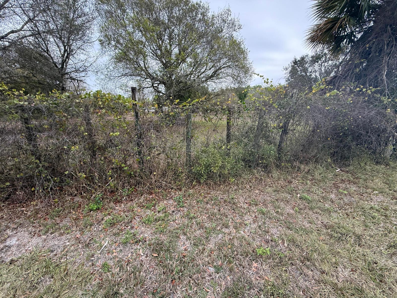 754 Hunting Club Avenue, Clewiston, FL 33440 photo 23