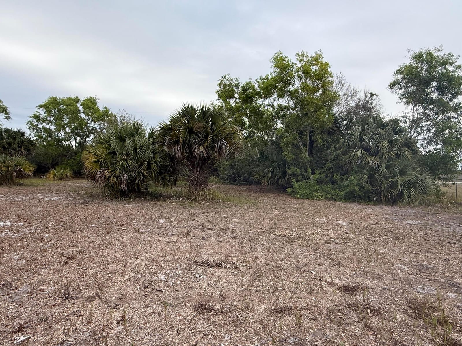 754 Hunting Club Avenue — photo 4