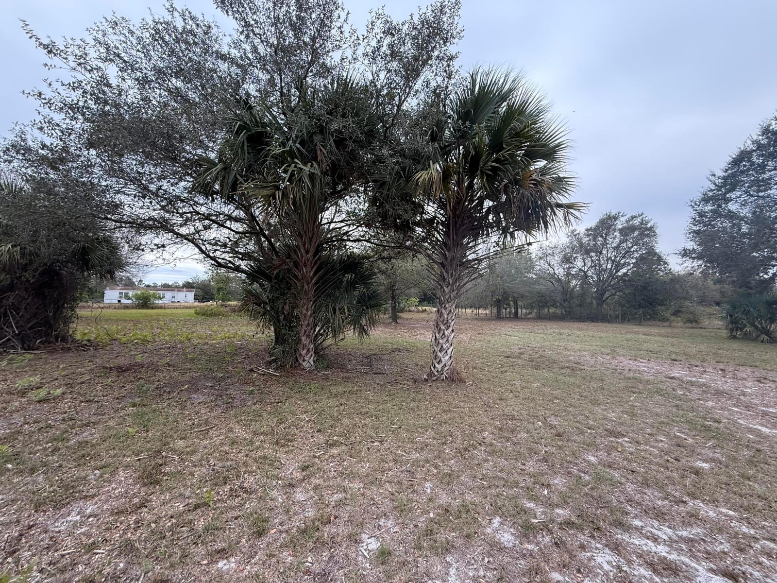 754 Hunting Club Avenue — photo 8