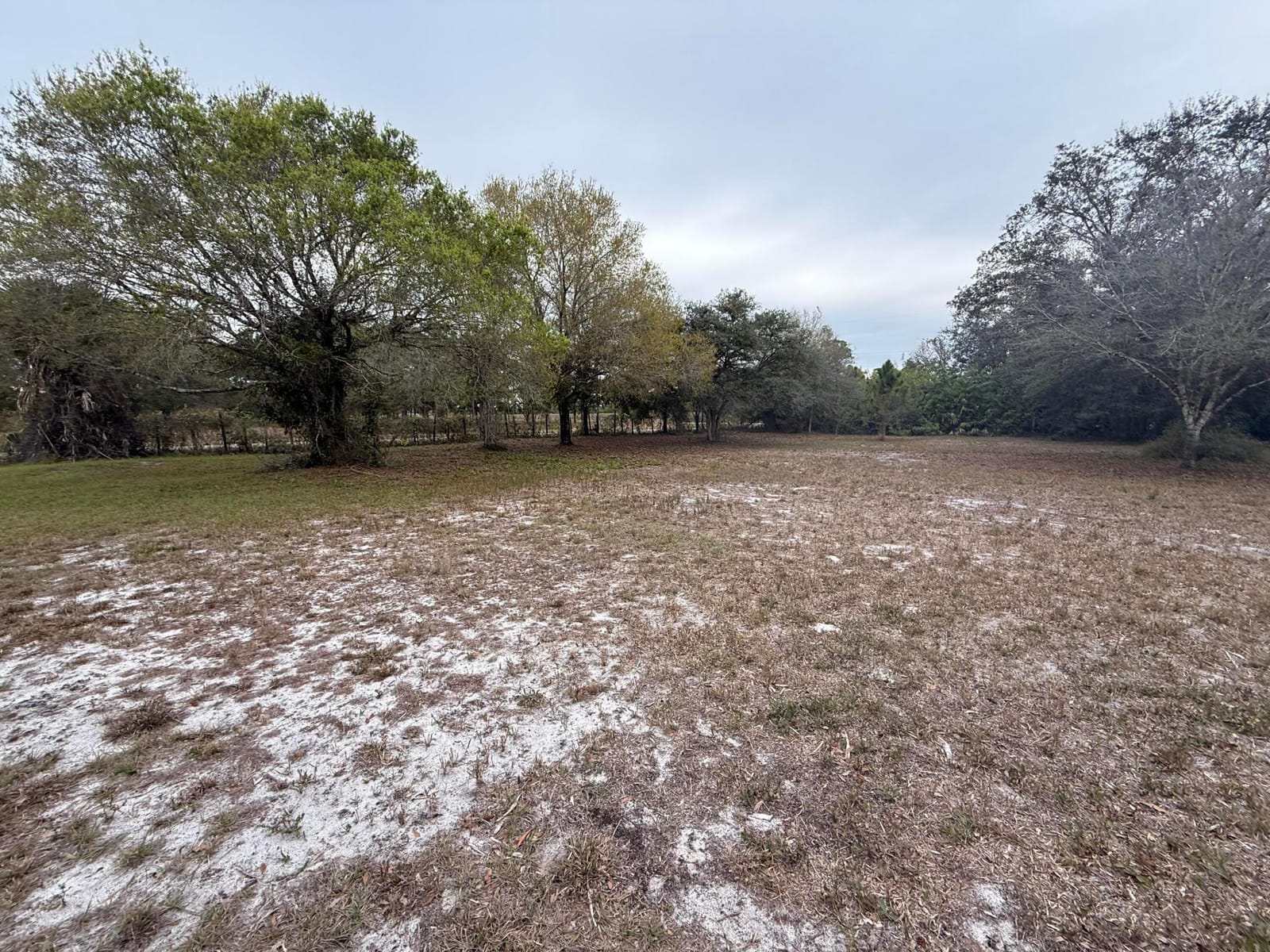754 Hunting Club Avenue — photo 9