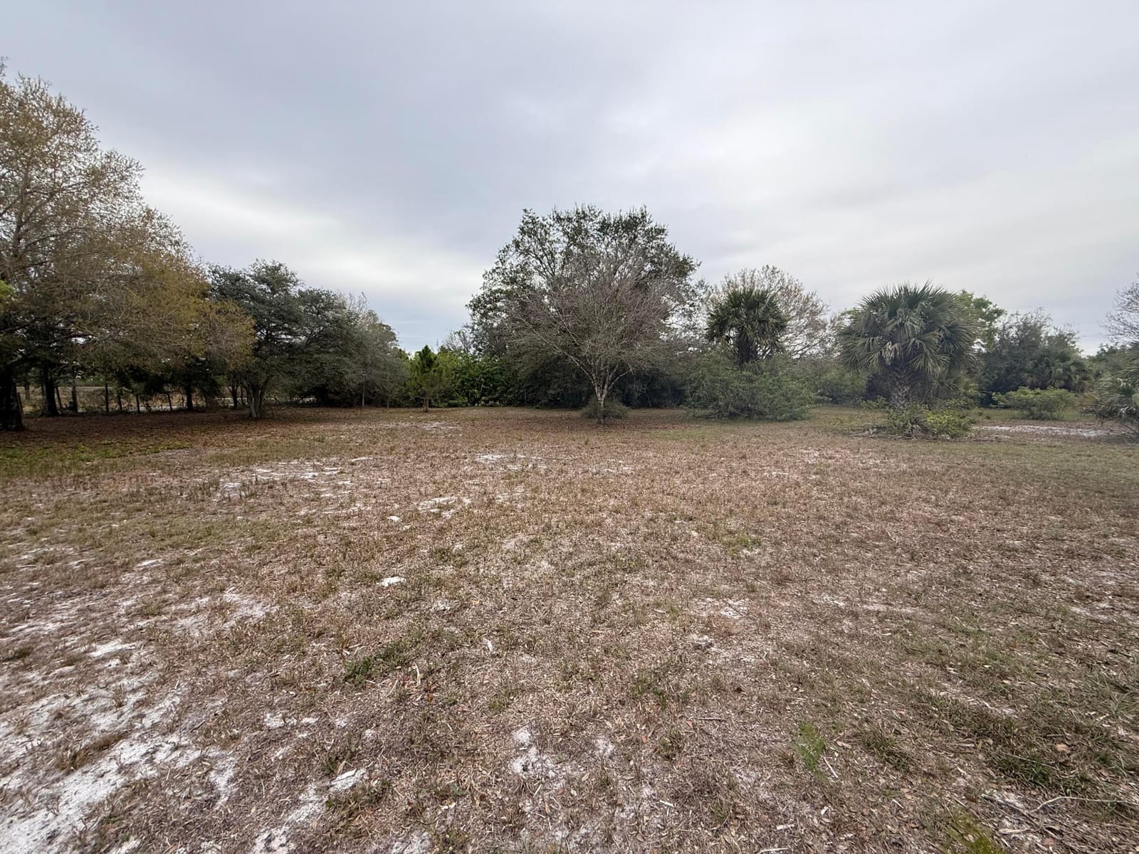 754 Hunting Club Avenue — photo 10