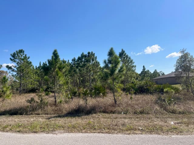 1247 Brunell Avenue, Fort Myers, FL 33913
